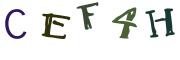 Imagine CAPTCHA