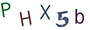 Obrázková CAPTCHA