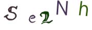 Obrázková CAPTCHA