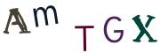 Obrázková CAPTCHA