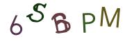 Obrázková CAPTCHA