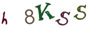 Obrázková CAPTCHA