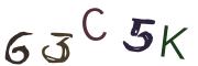Obrázková CAPTCHA
