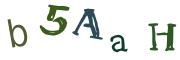 Obrázková CAPTCHA