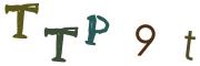 Obrázková CAPTCHA