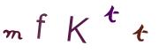 Obrázková CAPTCHA