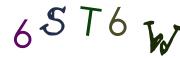 Obrázková CAPTCHA