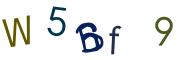 Obrázková CAPTCHA