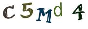 Obrázková CAPTCHA