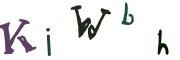 Obrázková CAPTCHA