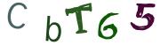 Obrázková CAPTCHA