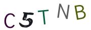 Obrázková CAPTCHA