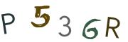 Obrázková CAPTCHA