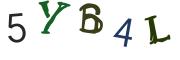 Obrázková CAPTCHA