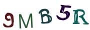 Obrázková CAPTCHA