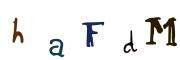 Obrázková CAPTCHA