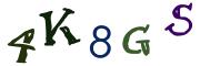 Obrázková CAPTCHA