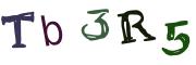 Obrázková CAPTCHA