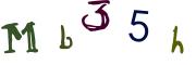 Obrázková CAPTCHA