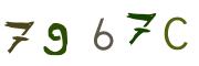 Obrázková CAPTCHA