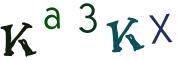 Obrázková CAPTCHA