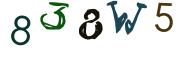 Obrázková CAPTCHA