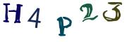 Obrázková CAPTCHA