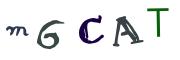 Obrázková CAPTCHA