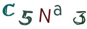 Obrázková CAPTCHA
