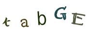 Obrázková CAPTCHA