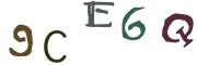Obrázková CAPTCHA