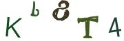 Obrázková CAPTCHA