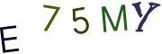 Obrázková CAPTCHA
