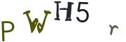 Obrázková CAPTCHA