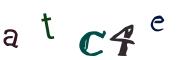 Obrázková CAPTCHA