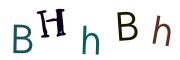 Фото-CAPTCHA