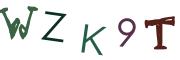 Фото-CAPTCHA