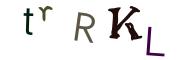 Фото-CAPTCHA