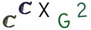Фото-CAPTCHA